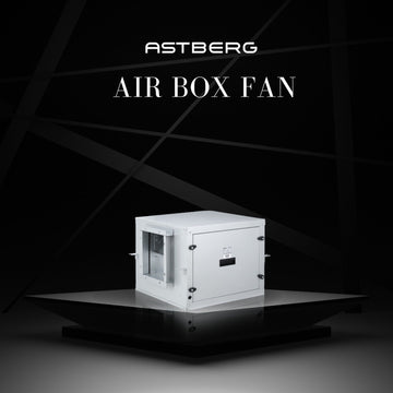 Air Box Fan